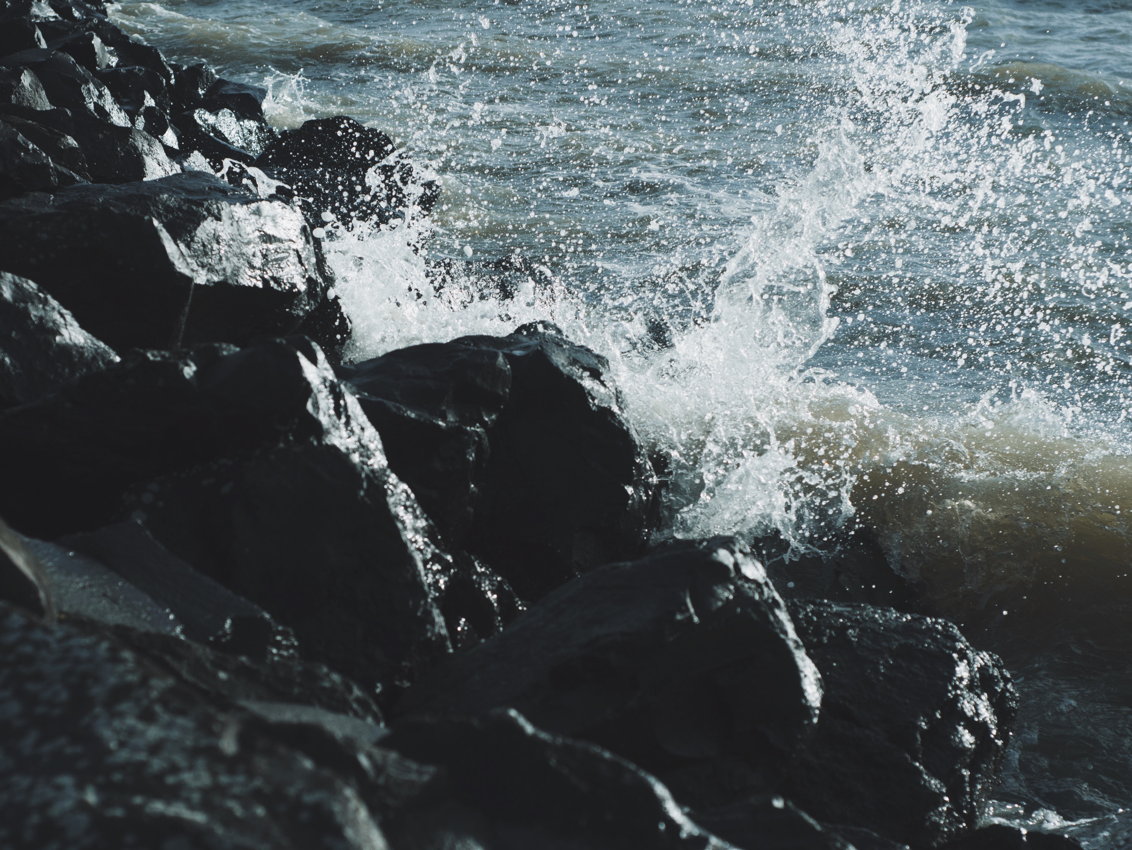 Image 15