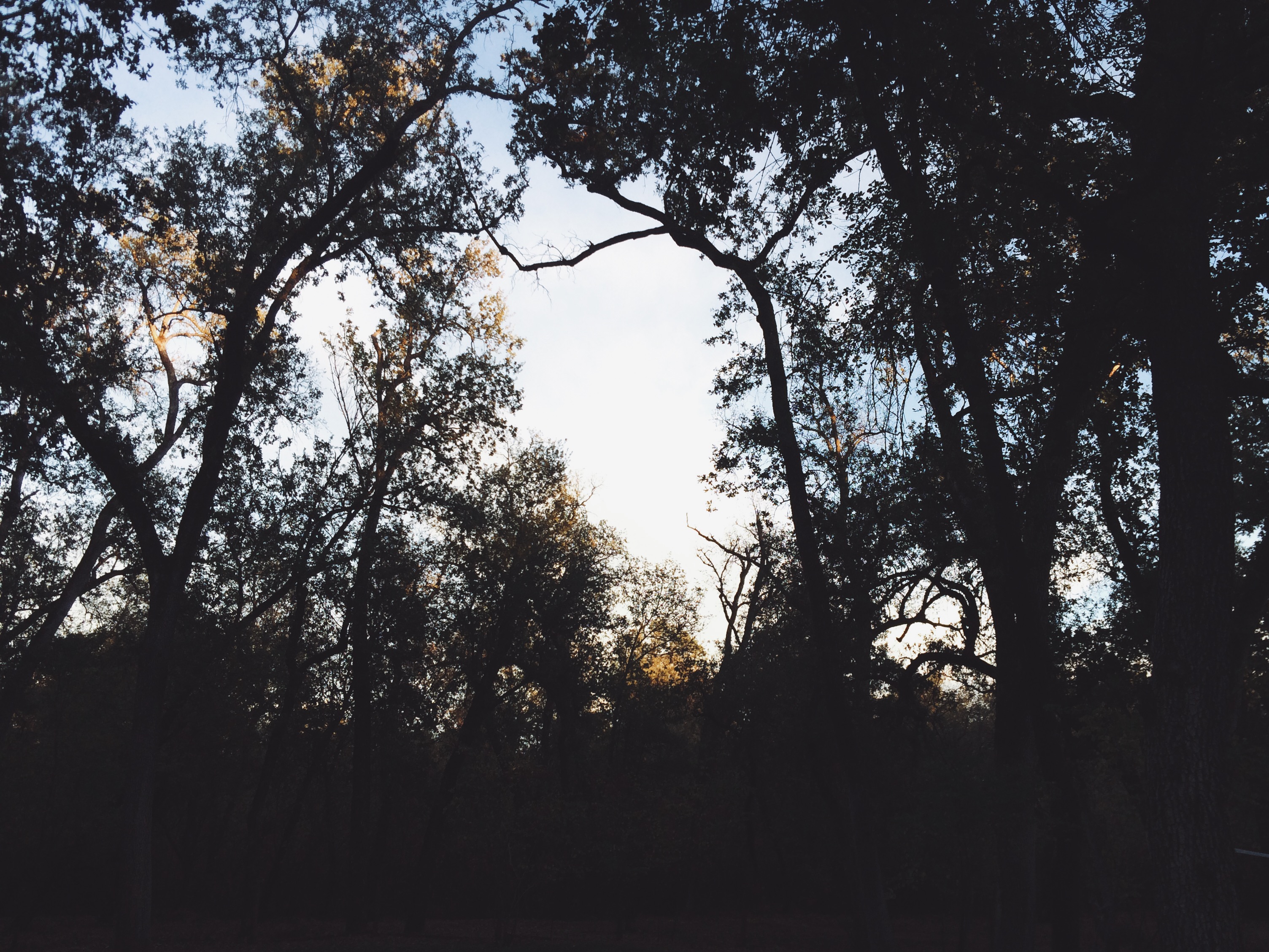 Image 19