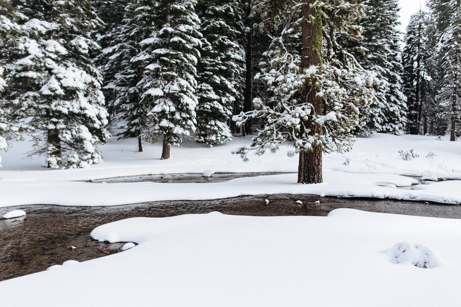 lassen_snow_jp-10