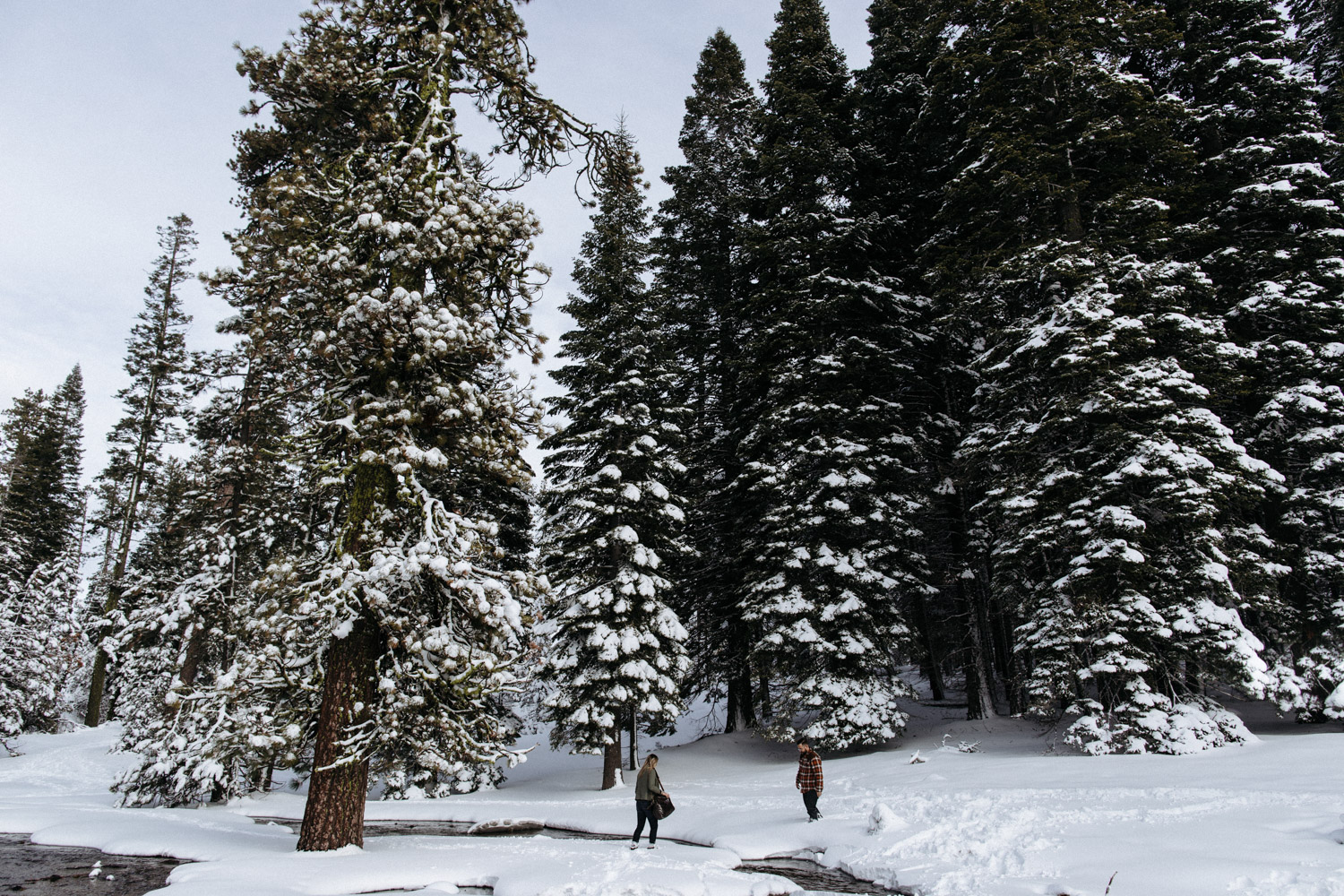 lassen_snow_jp-12