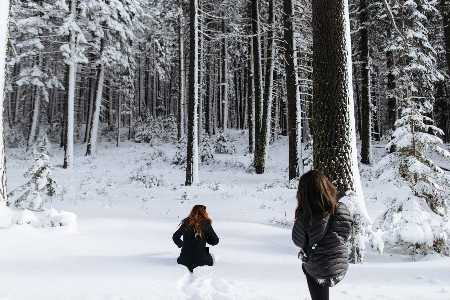 lassen_snow_jp-19