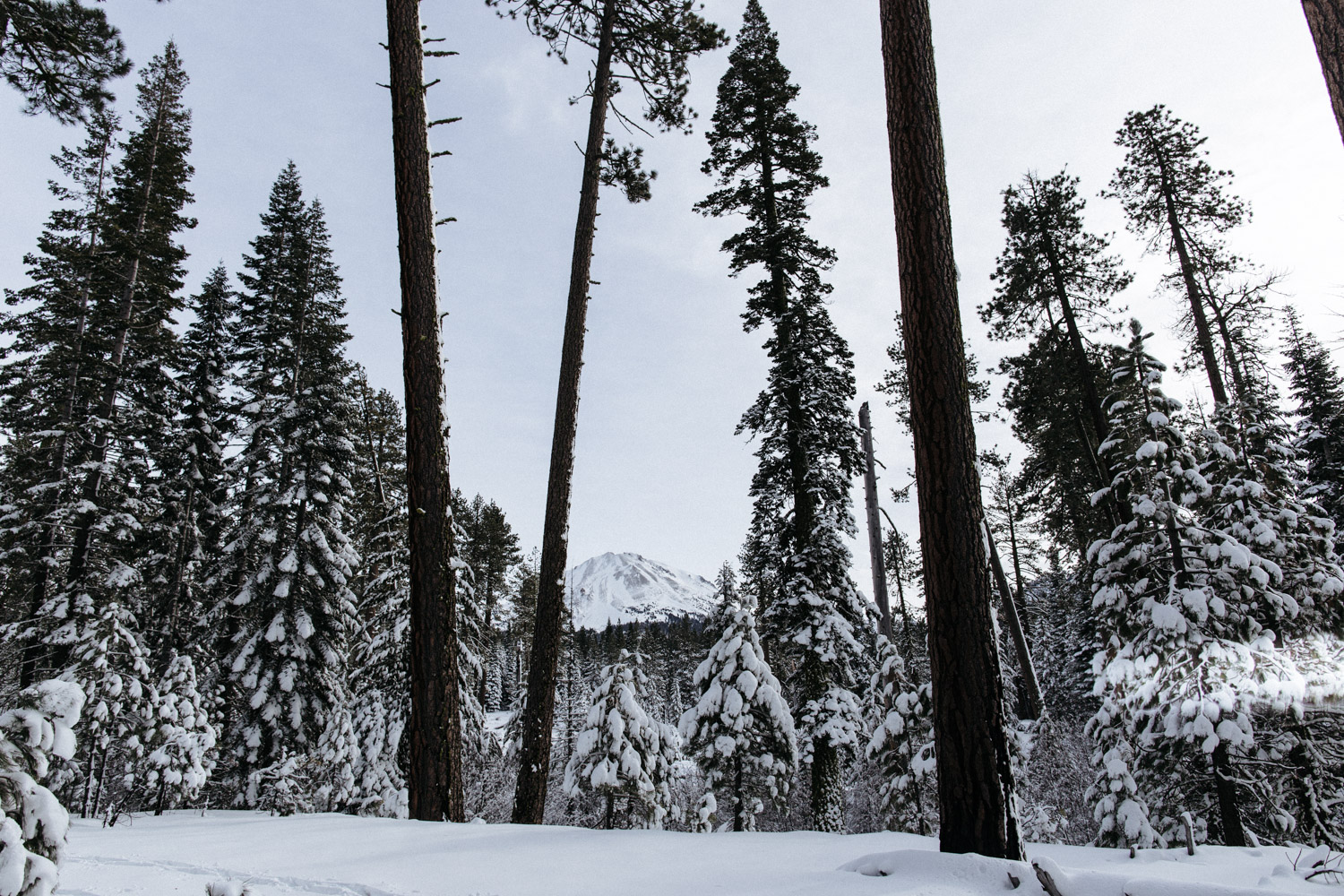 lassen_snow_jp-2