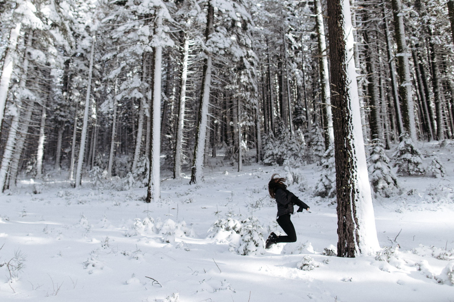 lassen_snow_jp-22