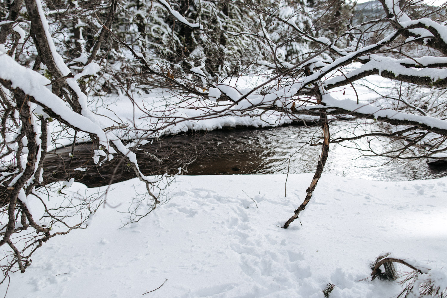 lassen_snow_jp-3