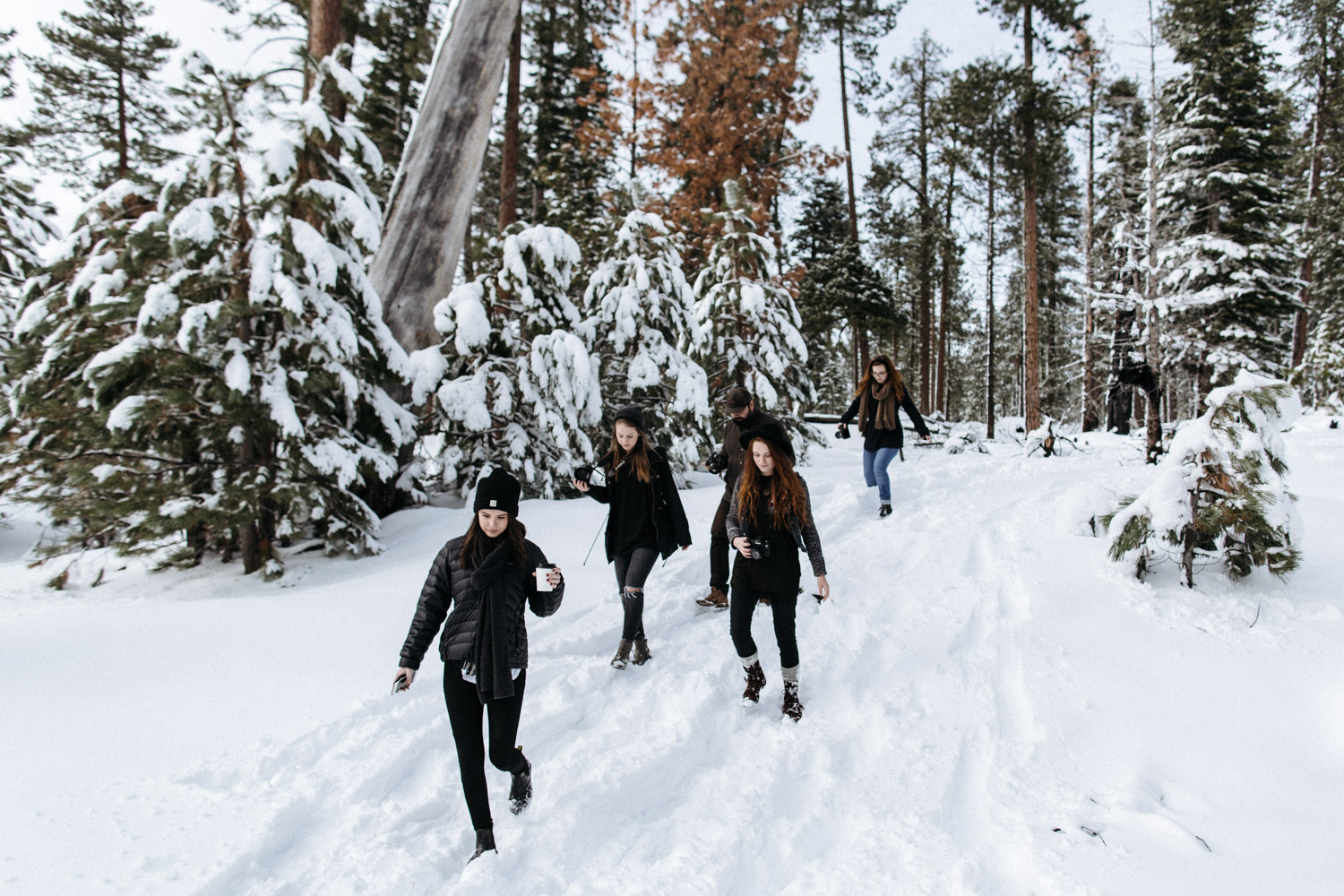 lassen_snow_jp-7