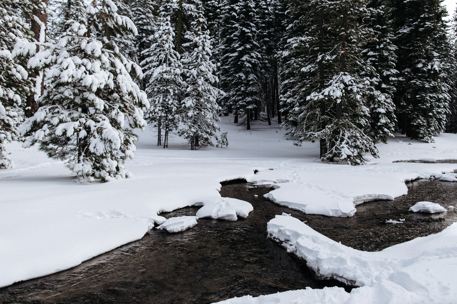 lassen_snow_jp-8