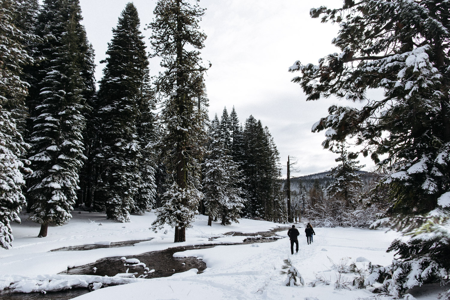lassen_snow_jp-9
