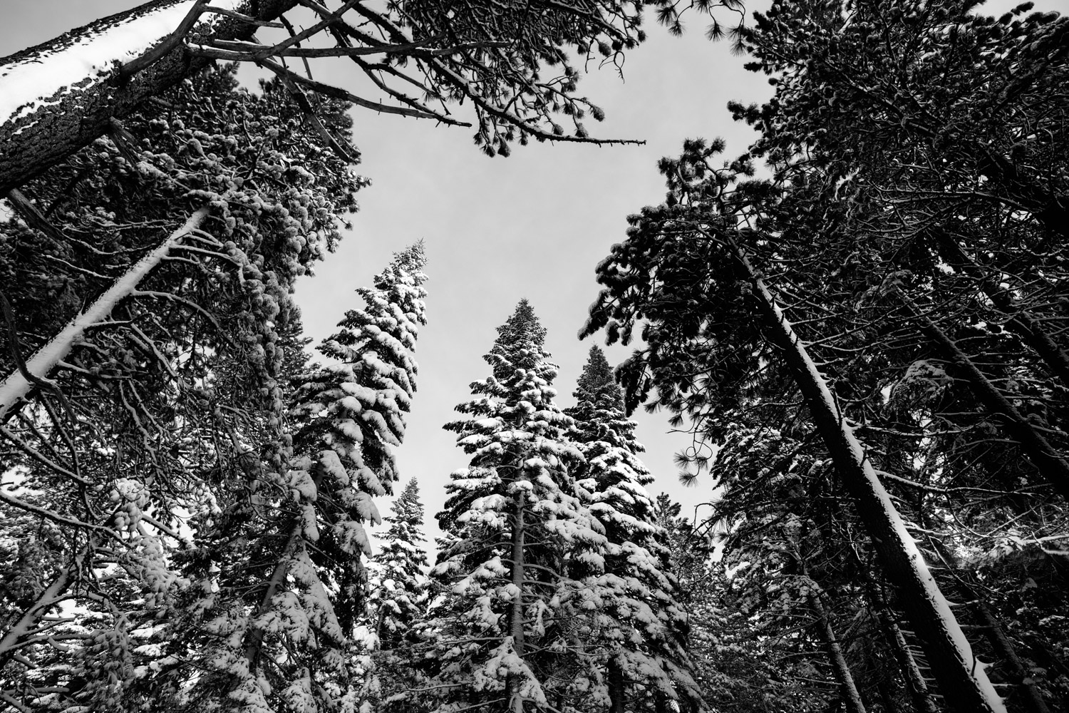 a winter snow essay Here, in this article, the winter season short explanation has given for students and children it is very joyful and remarkable season. a winter snow essay Here, in this article, the winter season short explanation has given for students and children it is very joyful and remarkable season.